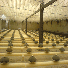 刚玉微孔曝气器